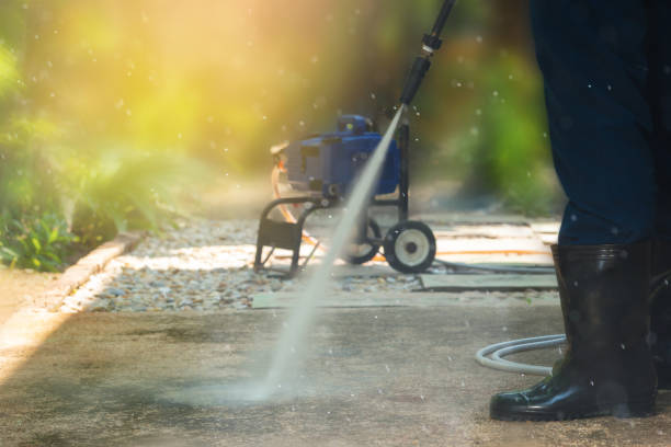 Best Gutter Cleaning  in New Cassel, NY